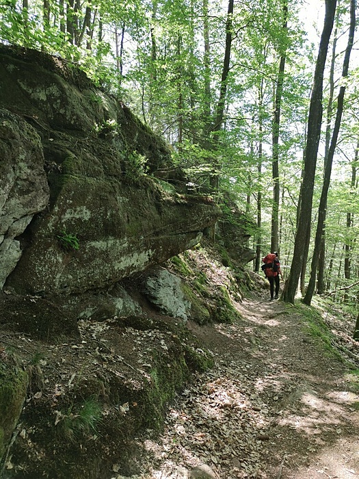 Klicke auf die Grafik für eine vergrößerte Ansicht

Name: Felsenweg1.jpg
Ansichten: 813
Größe: 355,9 KB
ID: 3061302
