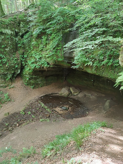 Klicke auf die Grafik für eine vergrößerte Ansicht

Name: Bärenhöhle2.jpg
Ansichten: 791
Größe: 320,0 KB
ID: 3061314