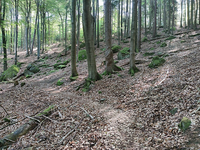 Klicke auf die Grafik für eine vergrößerte Ansicht

Name: Trail.jpg
Ansichten: 639
Größe: 668,0 KB
ID: 3062322