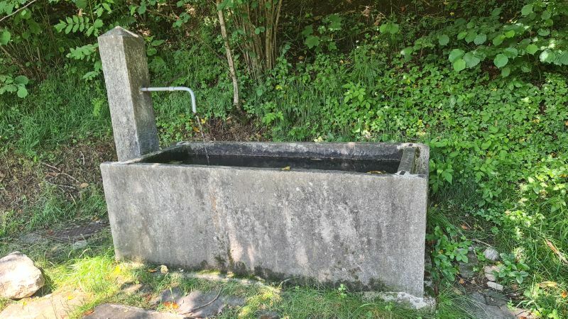 Klicke auf die Grafik für eine vergrößerte Ansicht

Name: 83 Brunnen bei Targnett 01.jpg
Ansichten: 110
Größe: 128,8 KB
ID: 3062562