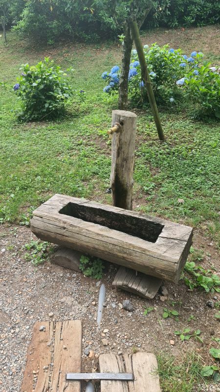 Klicke auf die Grafik für eine vergrößerte Ansicht

Name: Brunnen im Parco San Grato 01.jpg
Ansichten: 170
Größe: 132,3 KB
ID: 3062655