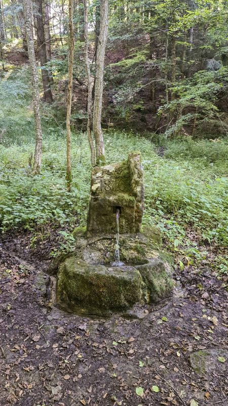 Klicke auf die Grafik für eine vergrößerte Ansicht  Name: 109 Kirnbachbrunnen im Schönbuch 01.jpg Ansichten: 0 Größe: 155,9 KB ID: 3063711