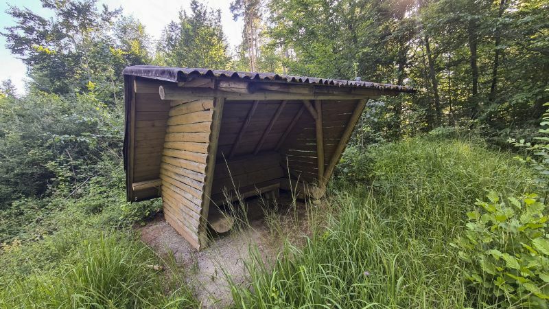 Klicke auf die Grafik für eine vergrößerte Ansicht

Name: 115 Unterstand an der Kreuzung Dettenhäuser Fussweg und Marxenbühlweg 01.jpg
Ansichten: 120
Größe: 126,0 KB
ID: 3063746