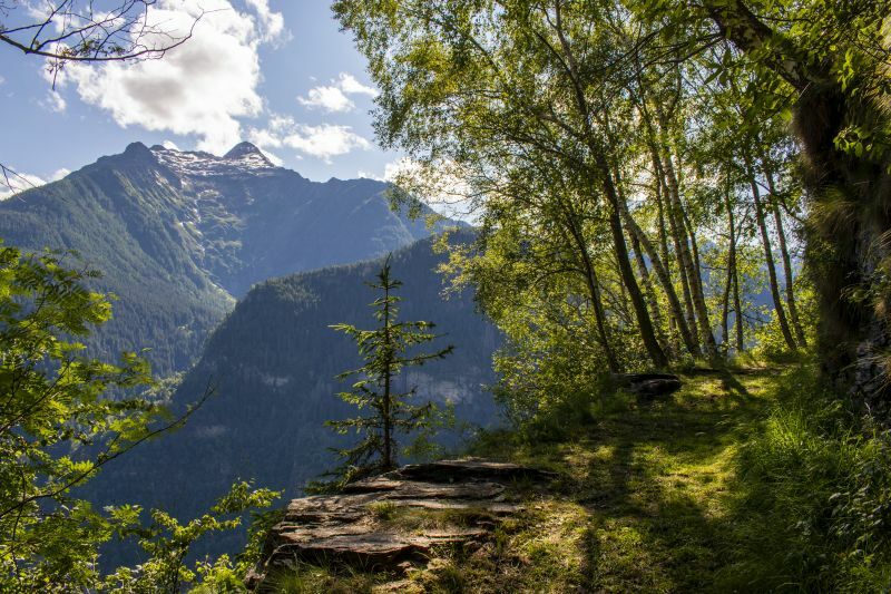 Klicke auf die Grafik für eine vergrößerte Ansicht  Name: 25 Wandern nach Calonico.jpg Ansichten: 5 Größe: 132,2 KB ID: 3064333