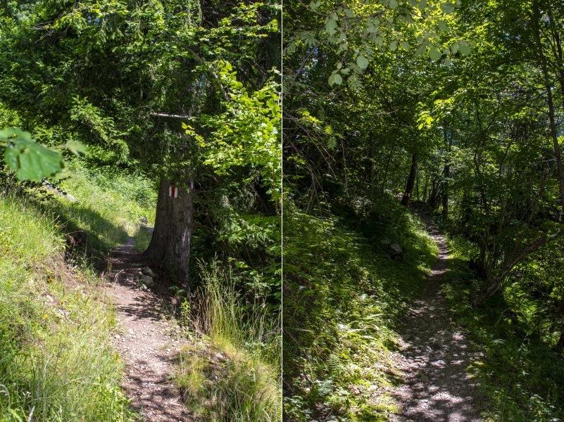 Klicke auf die Grafik für eine vergrößerte Ansicht  Name: 21 Genusswandern zwischen Osco und Anzonico.jpg Ansichten: 5 Größe: 312,8 KB ID: 3064335