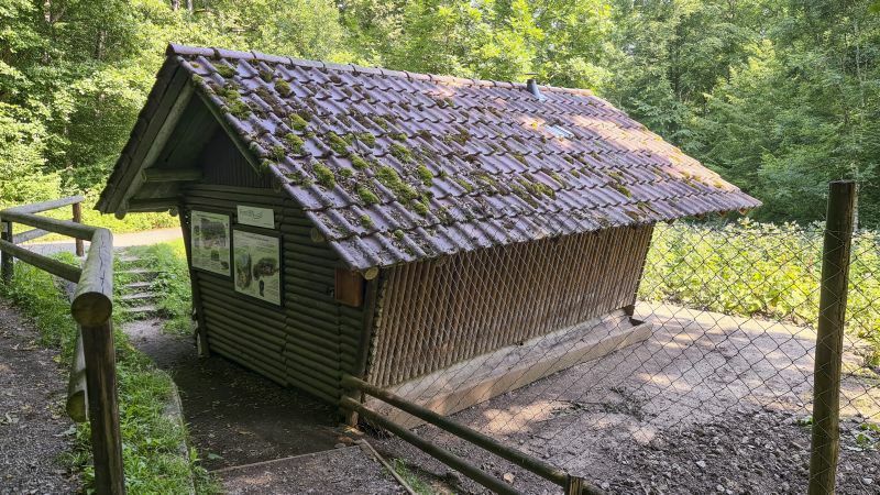 Klicke auf die Grafik für eine vergrößerte Ansicht

Name: 126 Hütte am Schwarzwildgehege im Schönbuch 01.jpg
Ansichten: 128
Größe: 133,9 KB
ID: 3064775