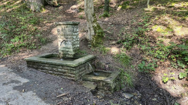 Klicke auf die Grafik für eine vergrößerte Ansicht

Name: 140 Schwabentreue-Brunnen im Schönbuch 01.jpg
Ansichten: 158
Größe: 144,0 KB
ID: 3064896