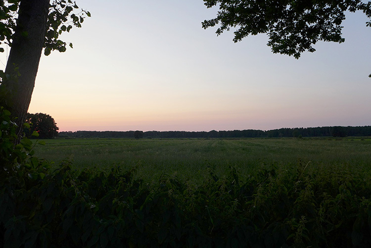 Klicke auf die Grafik für eine vergrößerte Ansicht

Name: Abendradeln_573.jpg
Ansichten: 283
Größe: 124,3 KB
ID: 3065179