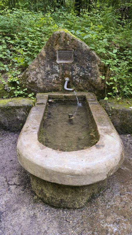 Klicke auf die Grafik für eine vergrößerte Ansicht

Name: 152 Bettelbrunnen im Schönbuch 02.jpg
Ansichten: 117
Größe: 122,8 KB
ID: 3065316