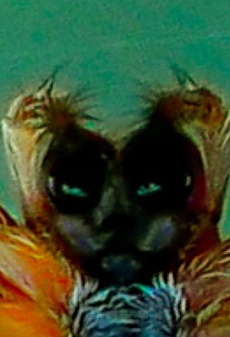 Klicke auf die Grafik für eine vergrößerte Ansicht

Name: 20210725_172959.jpg
Ansichten: 429
Größe: 298,5 KB
ID: 3065423