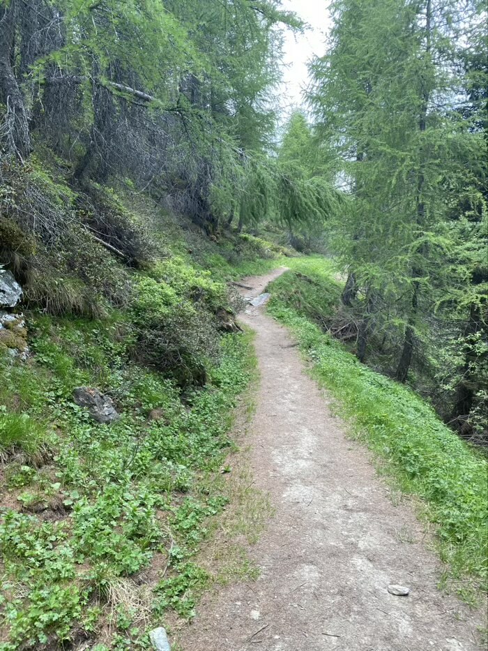 Klicke auf die Grafik für eine vergrößerte Ansicht

Name: ODS-12.jpeg
Ansichten: 806
Größe: 286,9 KB
ID: 3065789