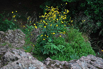 Klicke auf die Grafik für eine vergrößerte Ansicht  Name: DSC_2078.JPG Ansichten: 0 Größe: 4,15 MB ID: 3066855