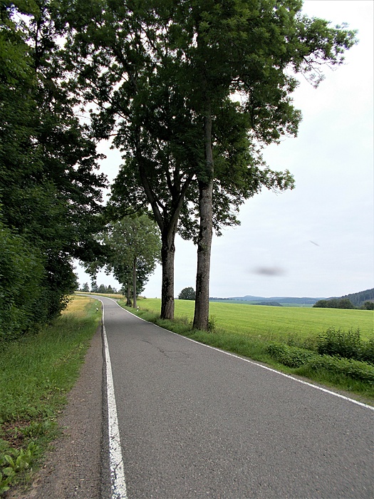 Klicke auf die Grafik für eine vergrößerte Ansicht

Name: DSCN2556.JPG
Ansichten: 911
Größe: 4,18 MB
ID: 3071388