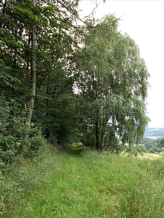 Klicke auf die Grafik für eine vergrößerte Ansicht

Name: DSCN2583.JPG
Ansichten: 899
Größe: 4,72 MB
ID: 3071400