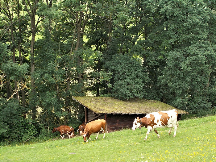 Klicke auf die Grafik für eine vergrößerte Ansicht

Name: DSCN2660.JPG
Ansichten: 899
Größe: 4,80 MB
ID: 3071412
