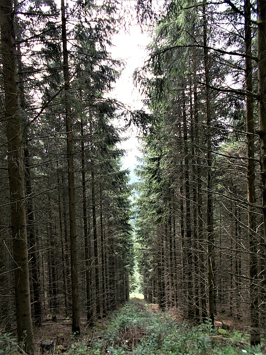 Klicke auf die Grafik für eine vergrößerte Ansicht

Name: DSCN2735.JPG
Ansichten: 883
Größe: 4,94 MB
ID: 3071437