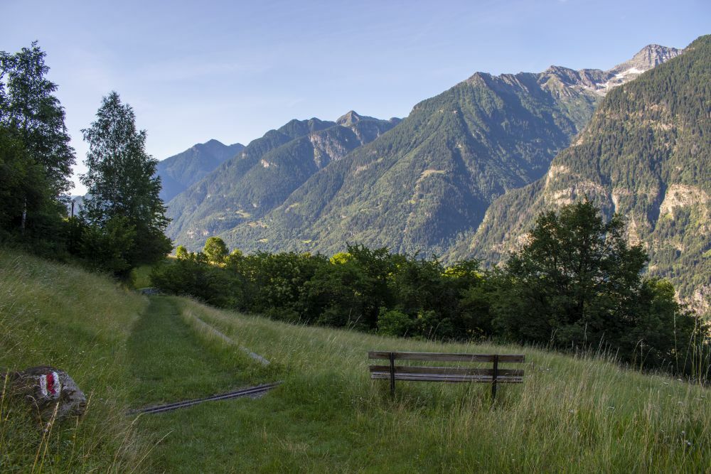 Klicke auf die Grafik für eine vergrößerte Ansicht

Name: 03 Die Strada Alta kurz vor Cavagnago.jpg
Ansichten: 403
Größe: 142,7 KB
ID: 3072029