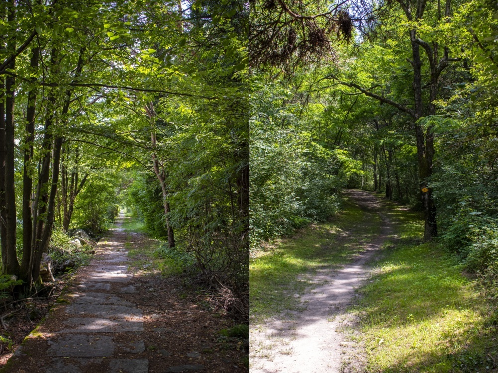 Klicke auf die Grafik für eine vergrößerte Ansicht

Name: 22 Flusswandern am Ticino.jpg
Ansichten: 390
Größe: 464,6 KB
ID: 3072031