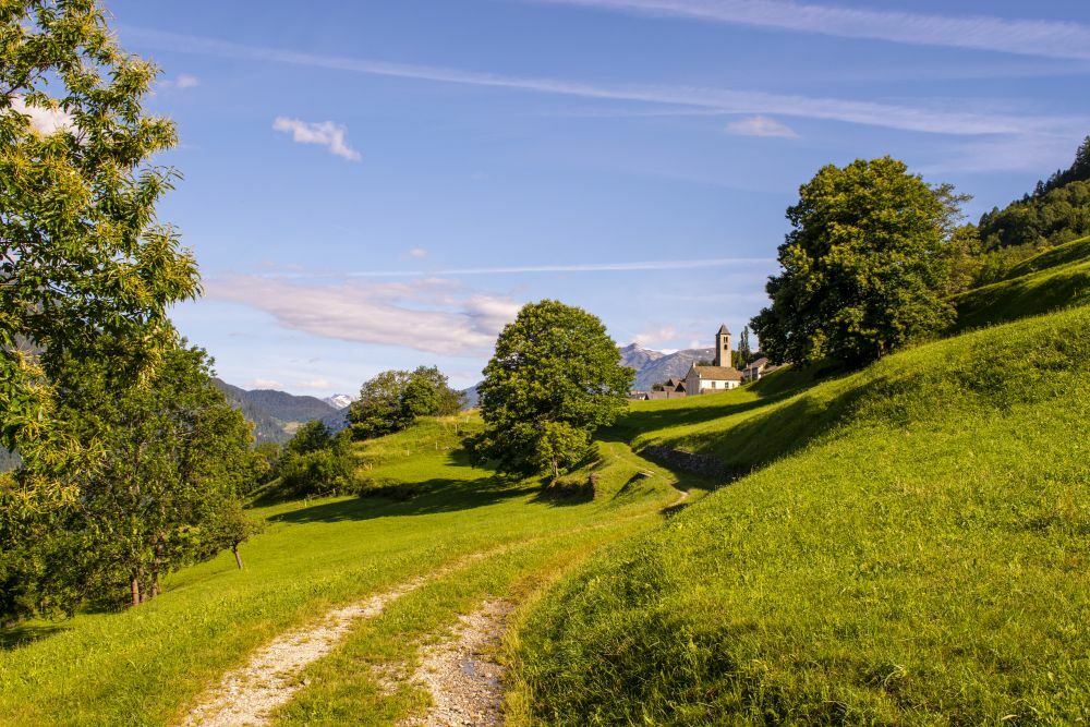 Klicke auf die Grafik für eine vergrößerte Ansicht

Name: 05 Almwandern auf der Strada Alta.jpg
Ansichten: 399
Größe: 177,1 KB
ID: 3072033