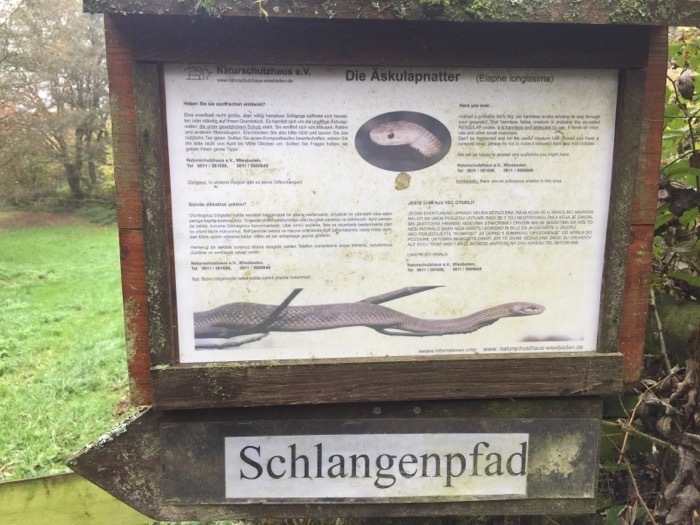 Klicke auf die Grafik für eine vergrößerte Ansicht  Name: ODS-6.jpeg Ansichten: 0 Größe: 124,8 KB ID: 3072435