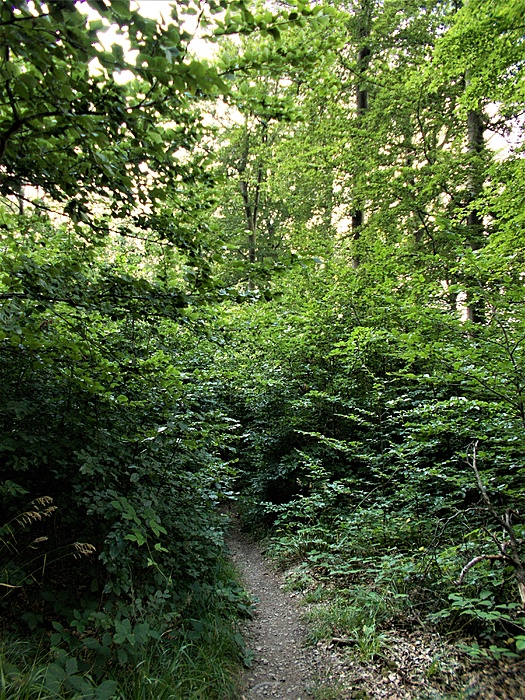 Klicke auf die Grafik für eine vergrößerte Ansicht  Name: DSCN3140.JPG Ansichten: 0 Größe: 5,07 MB ID: 3072587