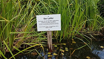 Klicke auf die Grafik für eine vergrößerte Ansicht

Name: 20210828_164534(0).jpg
Ansichten: 1009
Größe: 3,66 MB
ID: 3073727