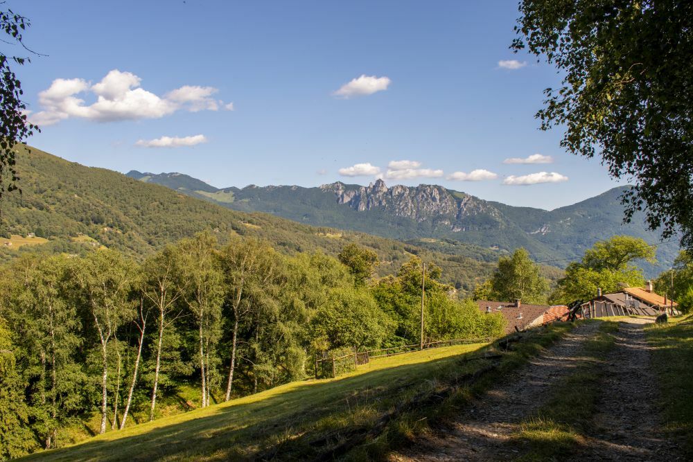 Klicke auf die Grafik für eine vergrößerte Ansicht  Name: 21 Wanderweg nach Tesserete.jpg Ansichten: 0 Größe: 160,5 KB ID: 3073906