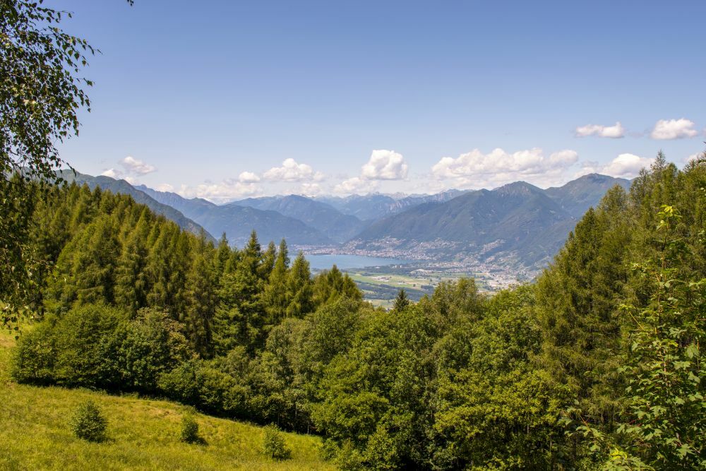 Klicke auf die Grafik für eine vergrößerte Ansicht  Name: 15 Locarno am Lago Maggiore wächst den Hang hinauf.jpg Ansichten: 0 Größe: 156,8 KB ID: 3073921
