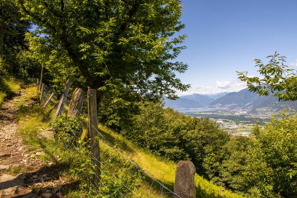 Klicke auf die Grafik für eine vergrößerte Ansicht  Name: 13 Aufstieg zur Alpe del Tiglio.jpg Ansichten: 0 Größe: 225,2 KB ID: 3073922