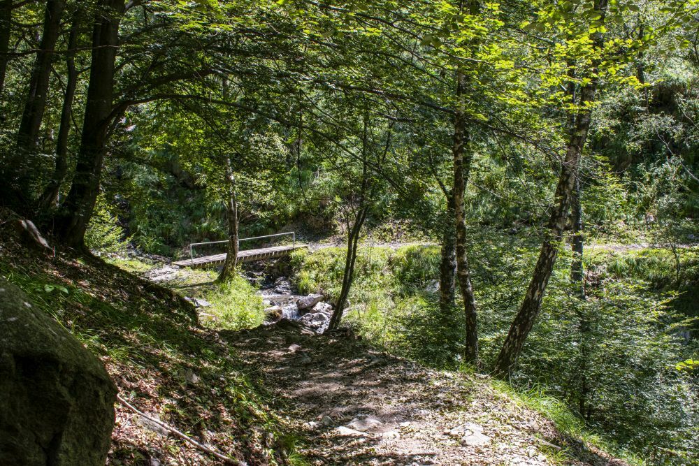 Klicke auf die Grafik für eine vergrößerte Ansicht  Name: 18 Wanderwege des E1 hinter Isone.jpg Ansichten: 0 Größe: 267,8 KB ID: 3073925