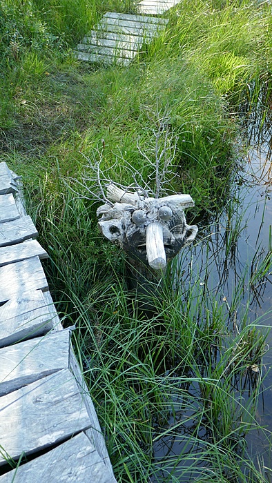 Klicke auf die Grafik für eine vergrößerte Ansicht

Name: Norwegen086.jpg
Ansichten: 1601
Größe: 3,47 MB
ID: 3074810