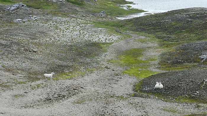 Klicke auf die Grafik für eine vergrößerte Ansicht  Name: Norwegen124.jpg Ansichten: 0 Größe: 4,33 MB ID: 3075482