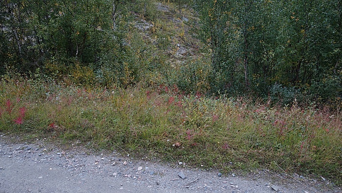 Klicke auf die Grafik für eine vergrößerte Ansicht  Name: DSC03722.JPG Ansichten: 0 Größe: 649,5 KB ID: 3075905
