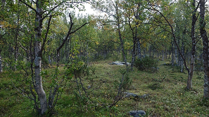 Klicke auf die Grafik für eine vergrößerte Ansicht

Name: DSC03753.JPG
Ansichten: 883
Größe: 706,0 KB
ID: 3076099