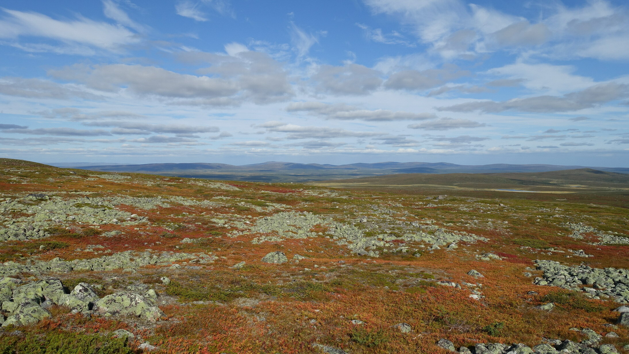Klicke auf die Grafik für eine vergrößerte Ansicht  Name: Abisko 086_resize.JPG Ansichten: 0 Größe: 827,2 KB ID: 3076604