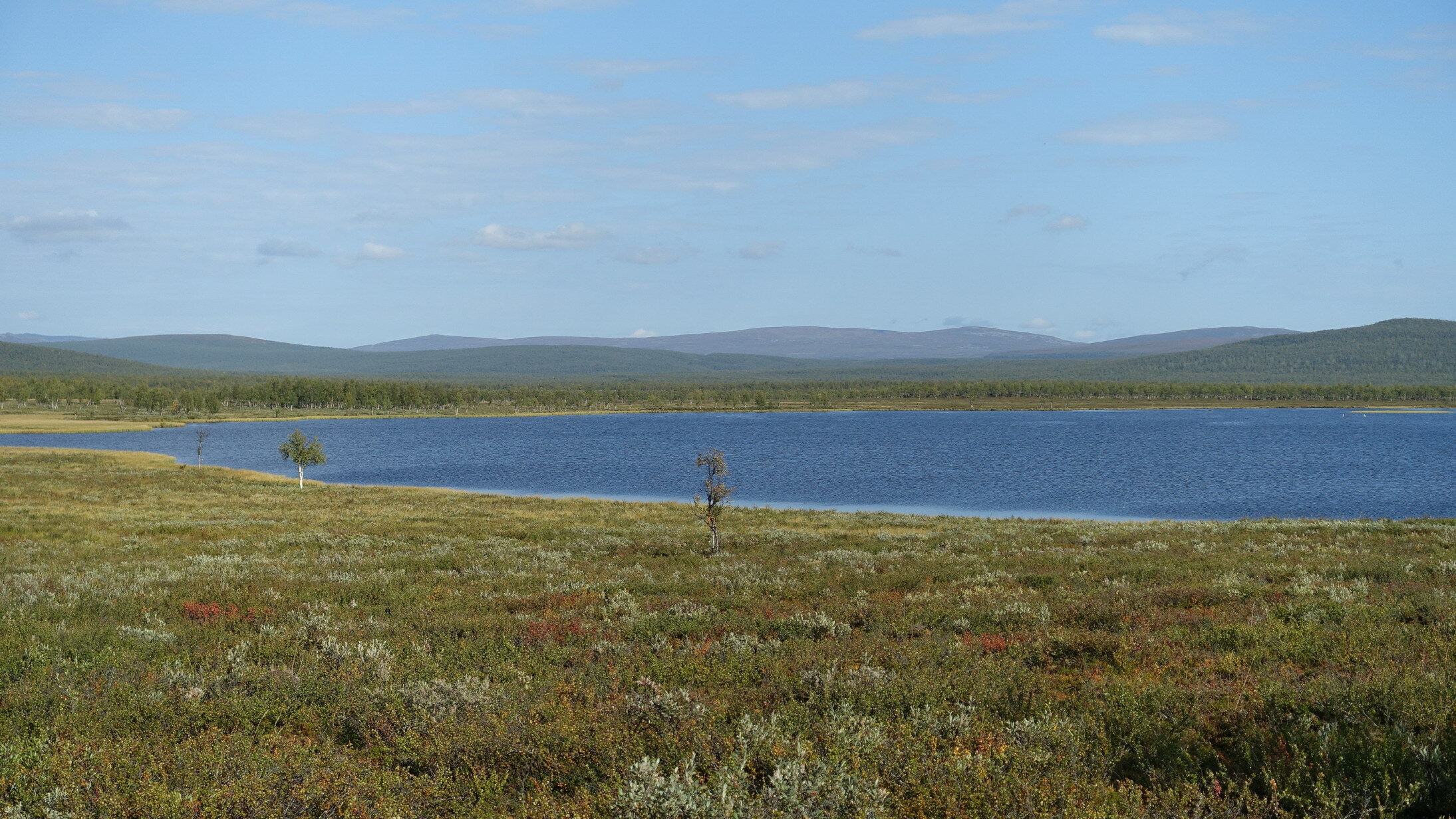 Klicke auf die Grafik für eine vergrößerte Ansicht  Name: Abisko 093_resize.JPG Ansichten: 0 Größe: 778,4 KB ID: 3076608