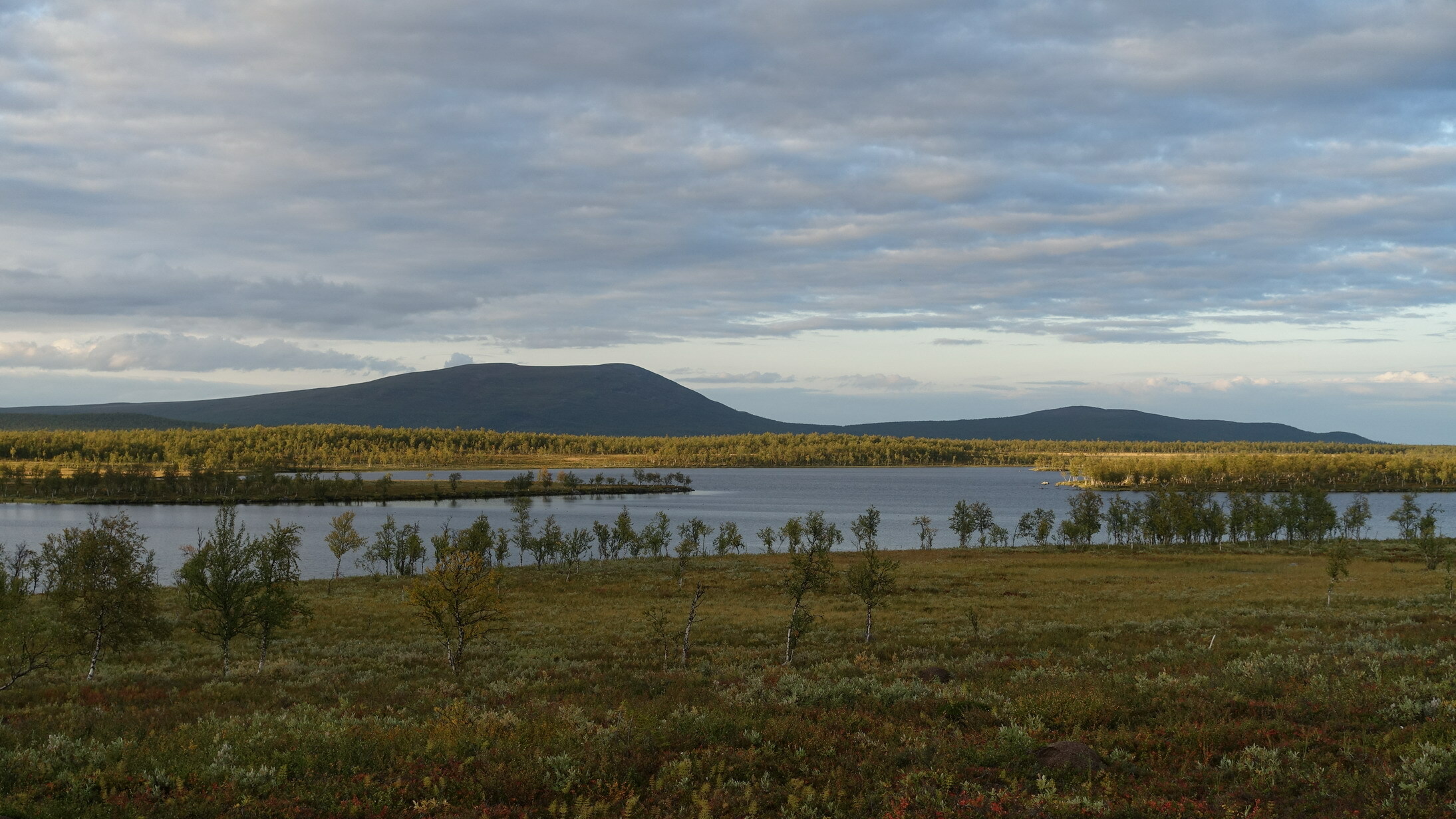 Klicke auf die Grafik für eine vergrößerte Ansicht  Name: Abisko 097_resize.JPG Ansichten: 0 Größe: 587,8 KB ID: 3076611