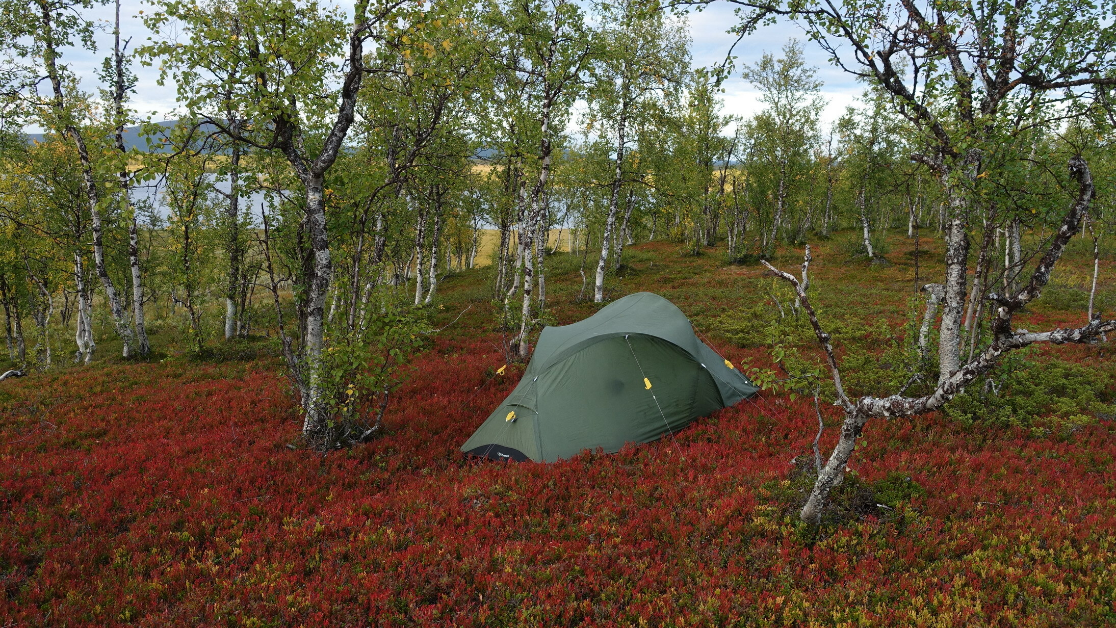 Klicke auf die Grafik für eine vergrößerte Ansicht  Name: Abisko 096_resize.JPG Ansichten: 0 Größe: 1,33 MB ID: 3076612