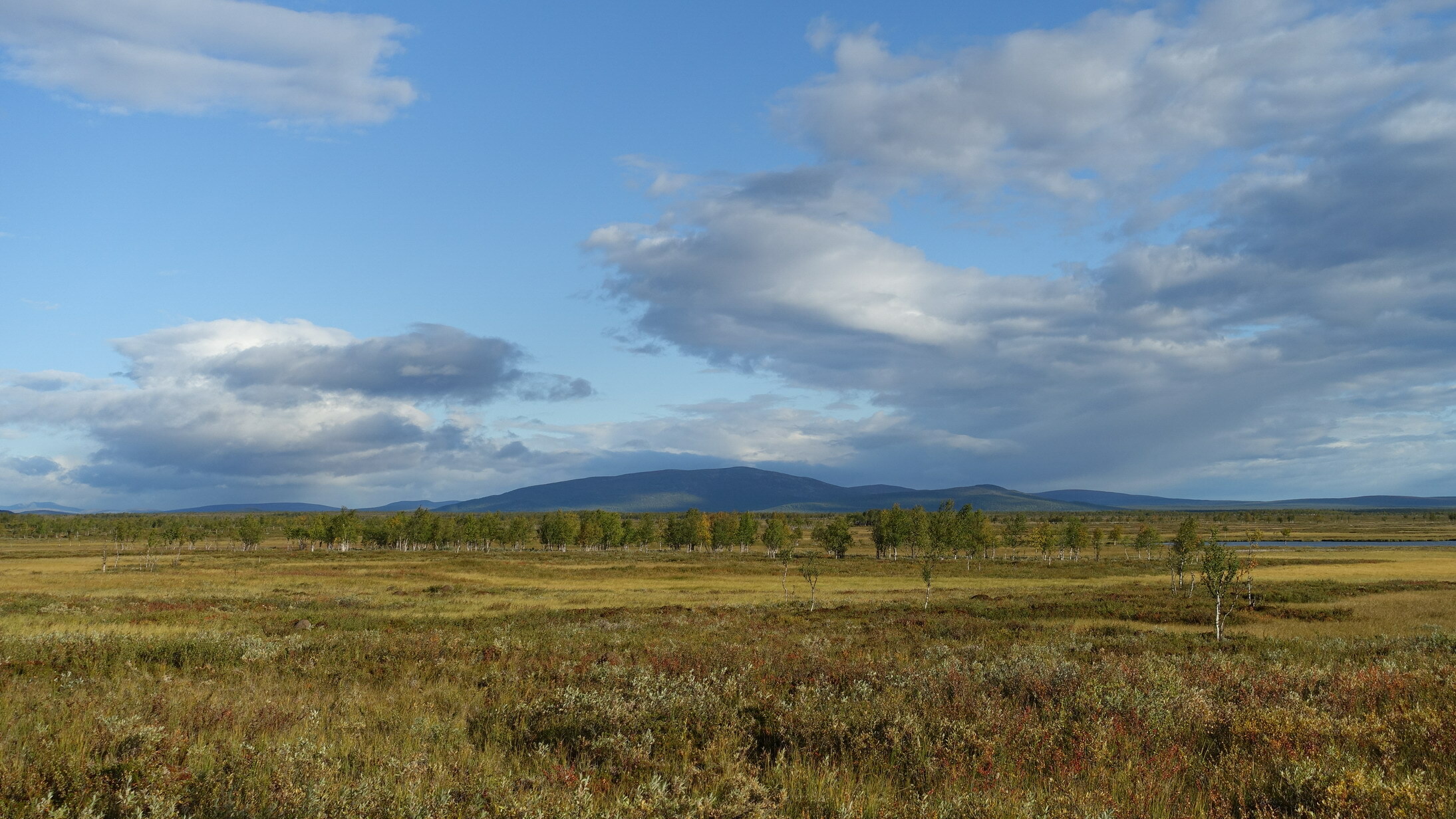 Klicke auf die Grafik für eine vergrößerte Ansicht  Name: Abisko 102_resize.JPG Ansichten: 0 Größe: 649,4 KB ID: 3076614