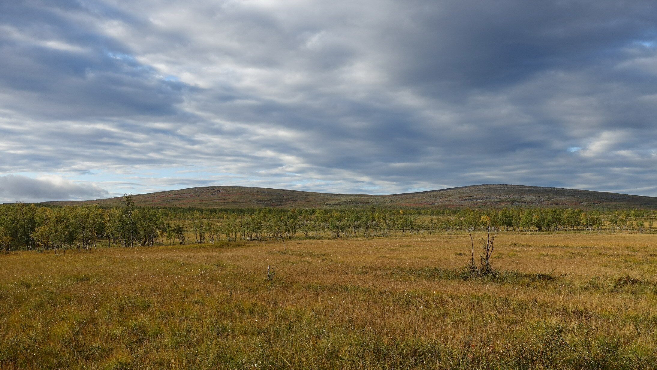 Klicke auf die Grafik für eine vergrößerte Ansicht  Name: Abisko 101_resize.JPG Ansichten: 0 Größe: 712,1 KB ID: 3076615