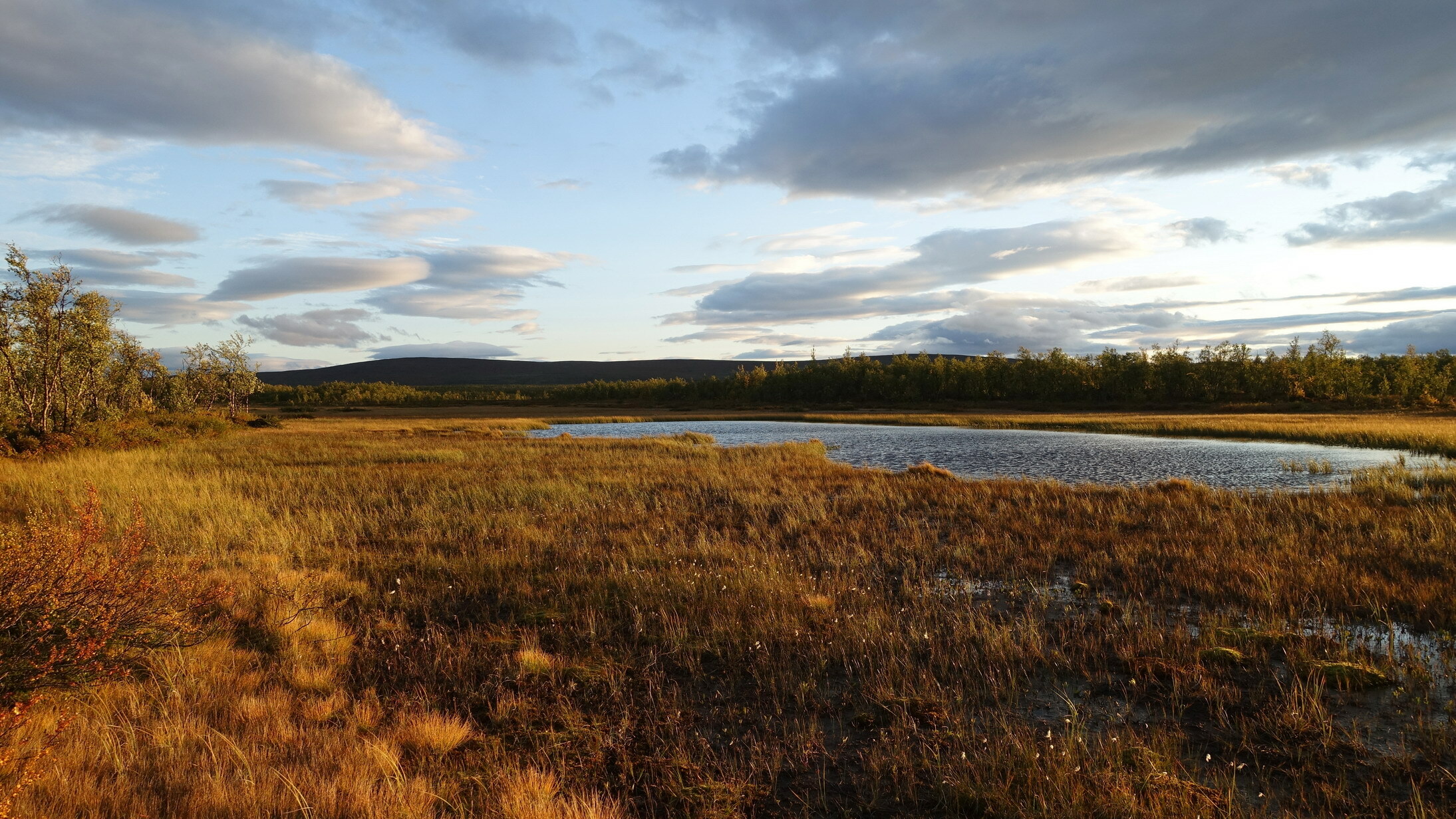 Klicke auf die Grafik für eine vergrößerte Ansicht  Name: Abisko 106_resize.jpg Ansichten: 0 Größe: 847,0 KB ID: 3076618