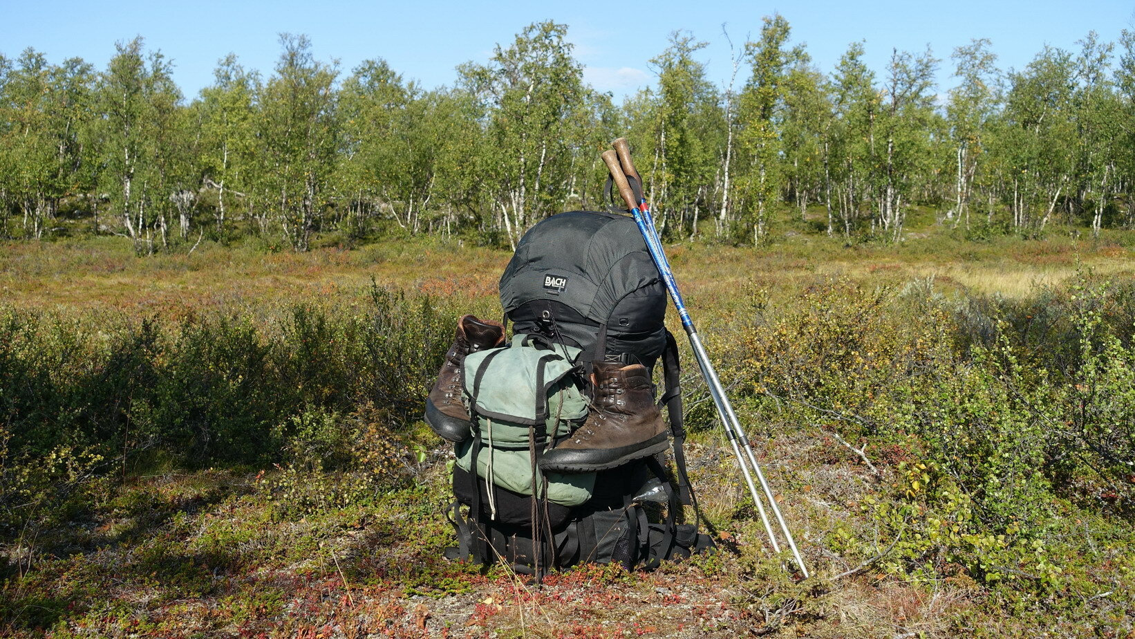 Klicke auf die Grafik für eine vergrößerte Ansicht

Name: Abisko 095a_resize.JPG
Ansichten: 1548
Größe: 735,1 KB
ID: 3076695