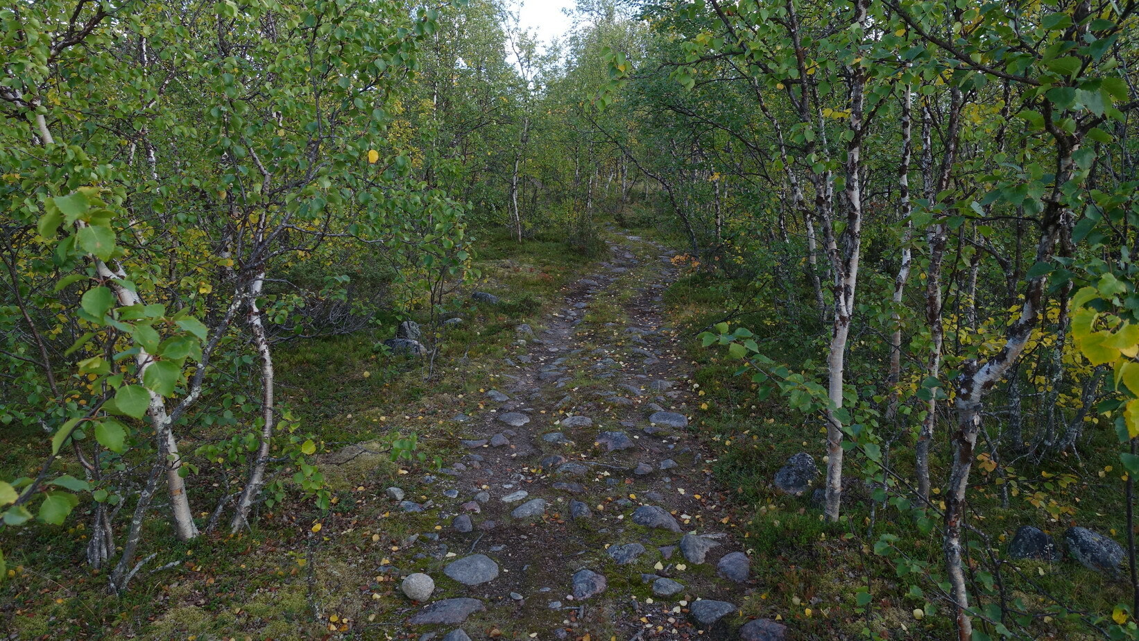 Klicke auf die Grafik für eine vergrößerte Ansicht

Name: Abisko 103a_resize.JPG
Ansichten: 815
Größe: 733,7 KB
ID: 3076710