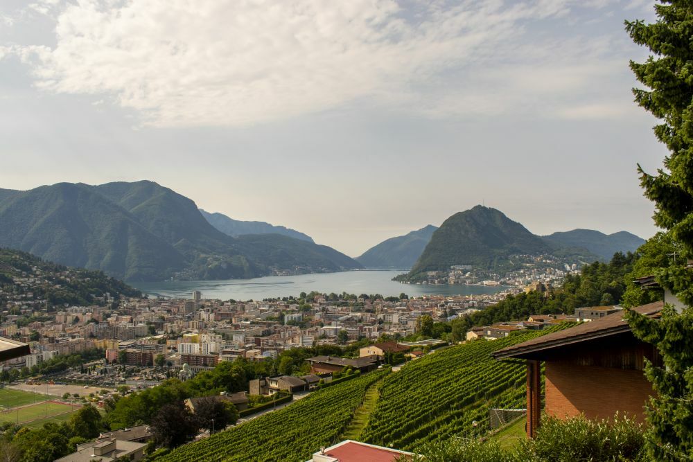 Klicke auf die Grafik für eine vergrößerte Ansicht  Name: 07 Durch Weinberge geht es nach Lugano hinunter.jpg Ansichten: 0 Größe: 115,3 KB ID: 3077735