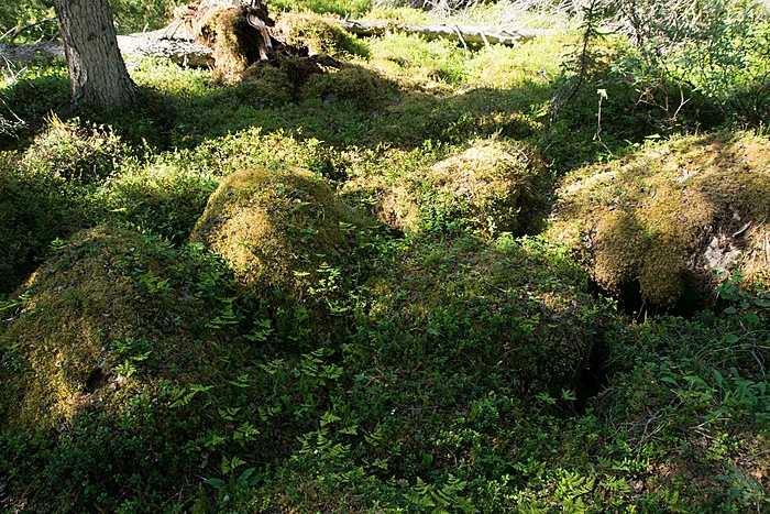 Klicke auf die Grafik für eine vergrößerte Ansicht  Name: DSC_0134_edited.jpg Ansichten: 0 Größe: 676,7 KB ID: 3077803