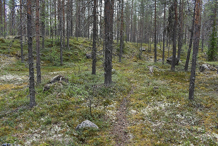 Klicke auf die Grafik für eine vergrößerte Ansicht

Name: DSC_0807.JPG
Ansichten: 6127
Größe: 1,25 MB
ID: 3078642