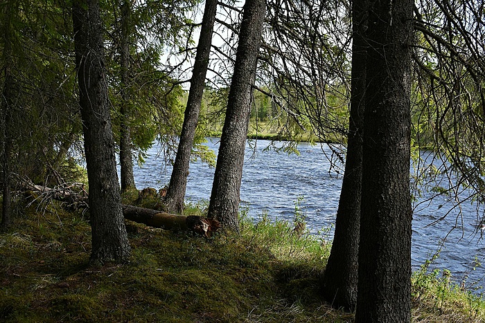 Klicke auf die Grafik für eine vergrößerte Ansicht

Name: DSC_0818.JPG
Ansichten: 2330
Größe: 1,03 MB
ID: 3078738