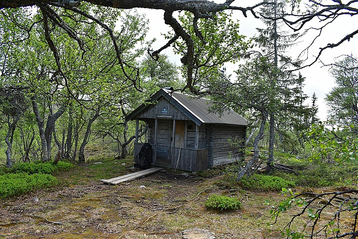 Klicke auf die Grafik für eine vergrößerte Ansicht  Name: DSC_0955.JPG Ansichten: 0 Größe: 1,22 MB ID: 3079574