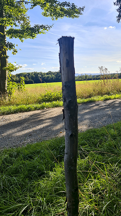 Klicke auf die Grafik für eine vergrößerte Ansicht

Name: 20210930_154514.jpg
Ansichten: 464
Größe: 3,94 MB
ID: 3079703