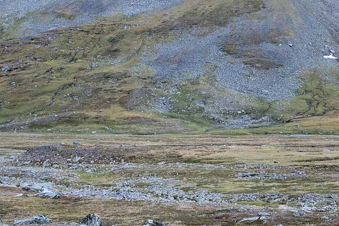 Klicke auf die Grafik für eine vergrößerte Ansicht  Name: Ljungdalen_20200903_165.JPG Ansichten: 0 Größe: 1,58 MB ID: 3080104